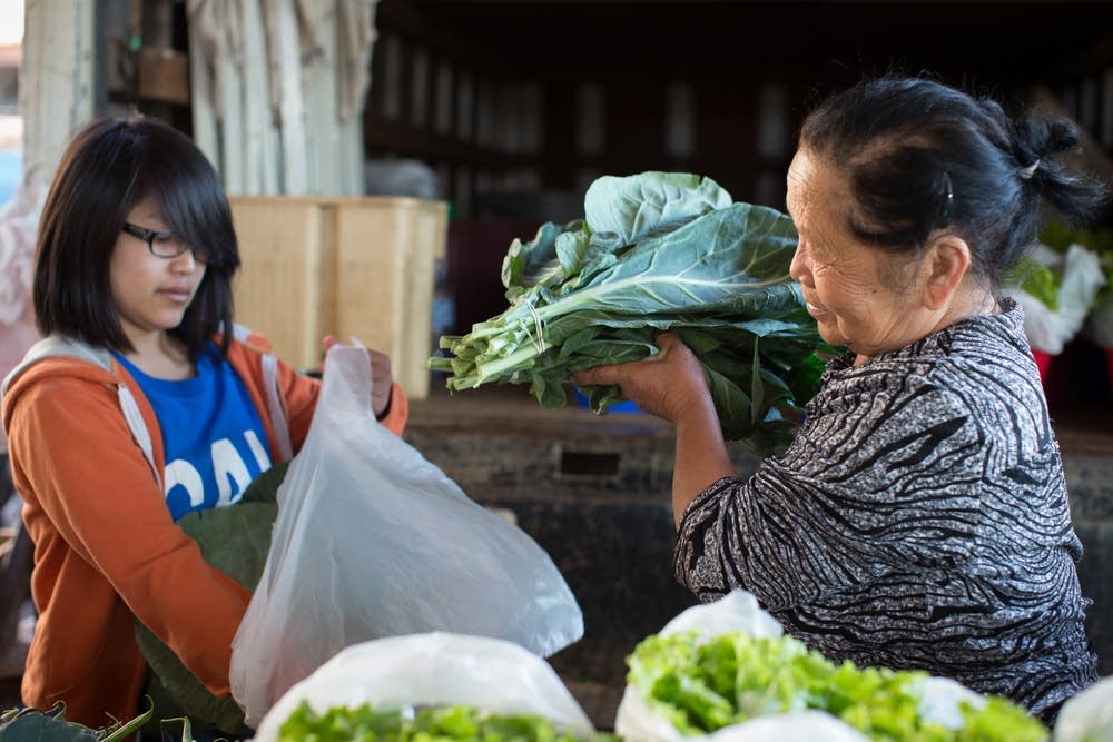 Hmong farmers