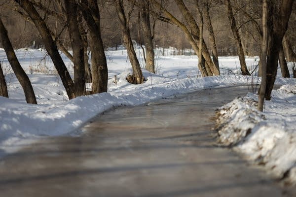 An icy trail in the woods