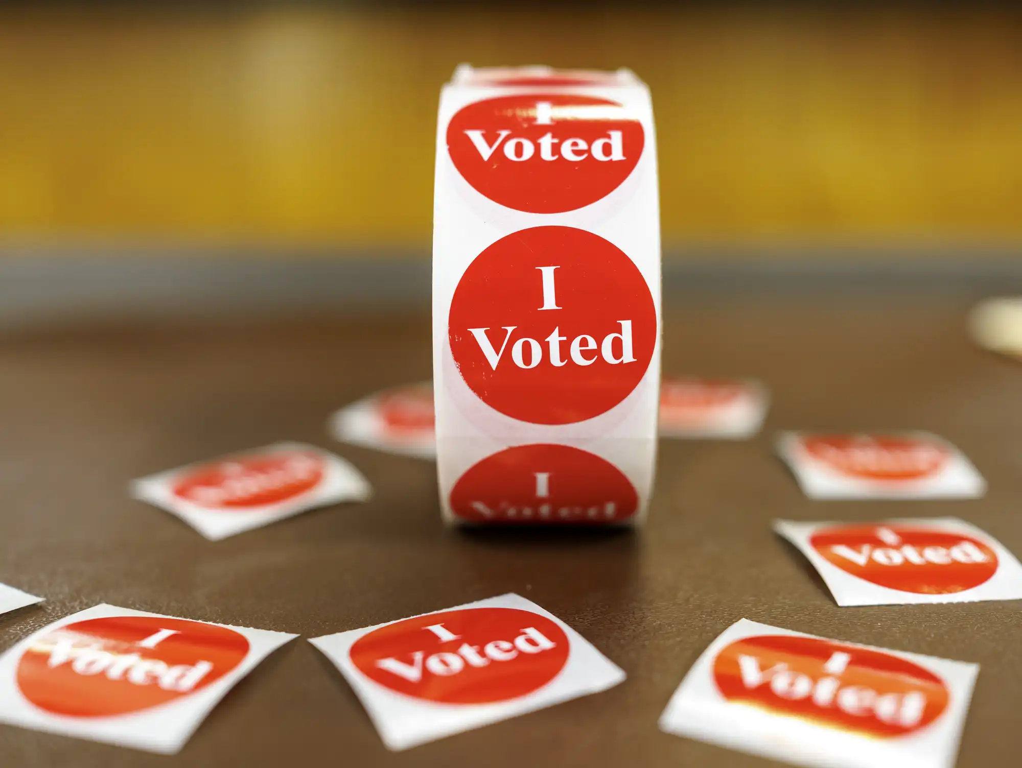 The Voting Process