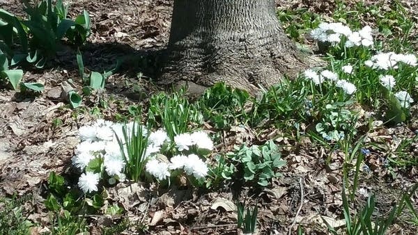 Gorgeous weekend; More warm temperatures coming