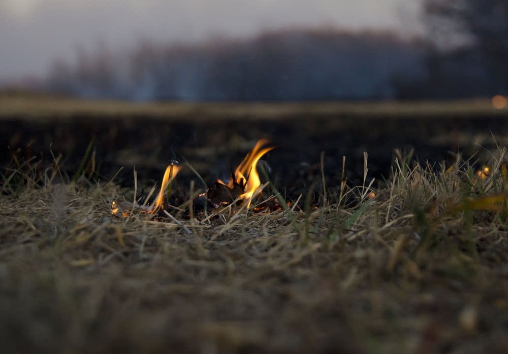 Fire
