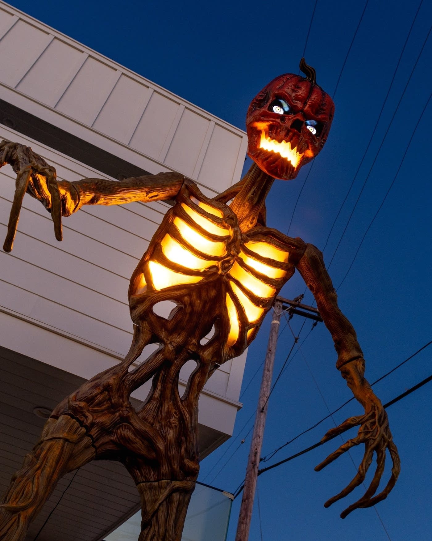 19962f-20251031-skelly-1400.jpg
