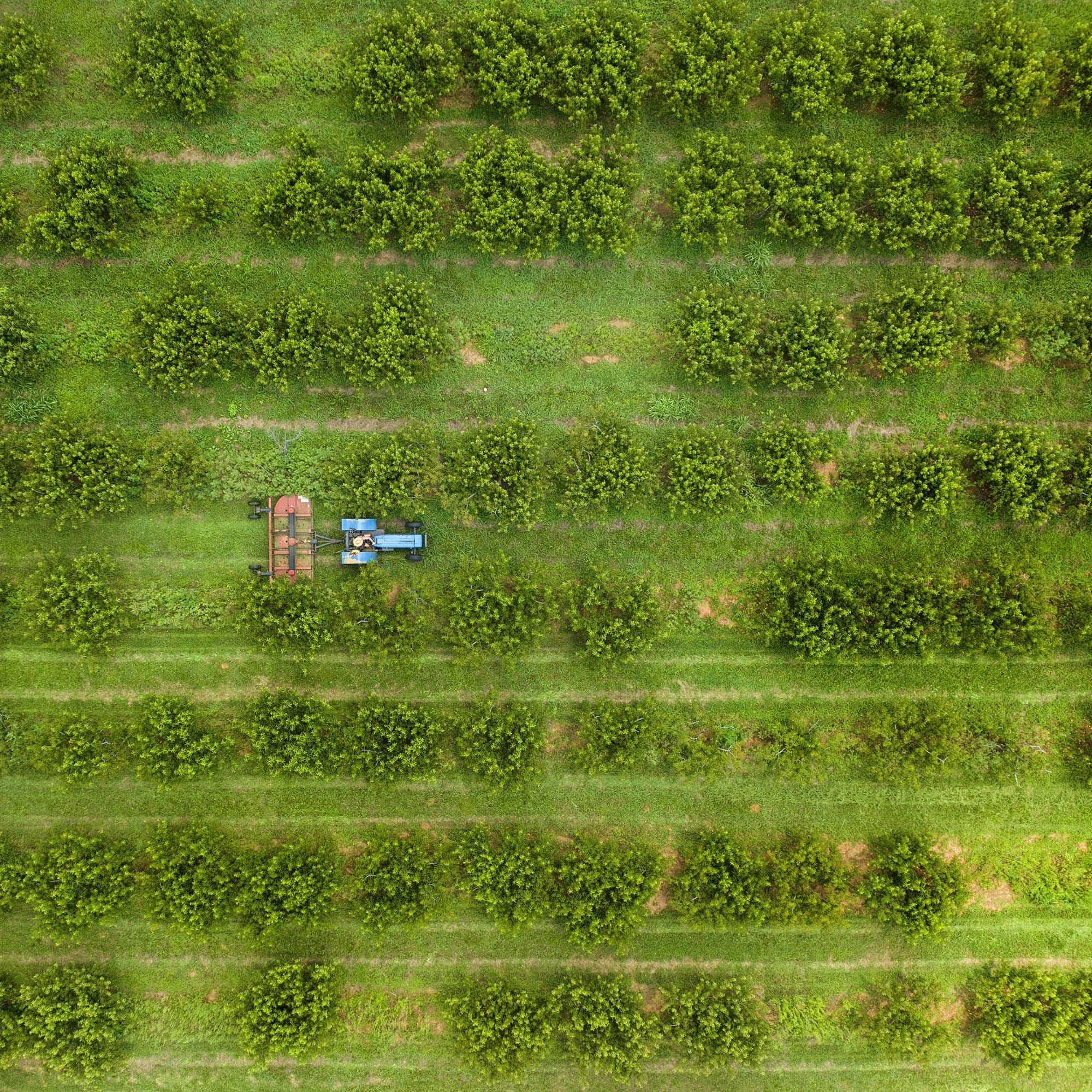 Aid for farmers, but not from tariffs