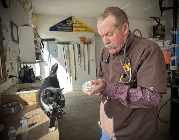 A man with a stethoscope pulls medication out of a bottle with a needle. Barn supplies surround him and a black and white cat stands next to him.