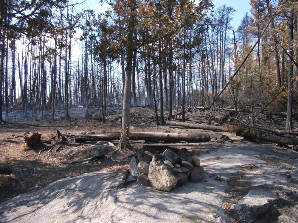 Heavily damaged campsite