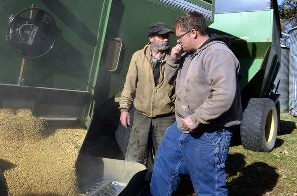 Jesse Hall (right) and Jim Finnegan check the quality of soybeans.