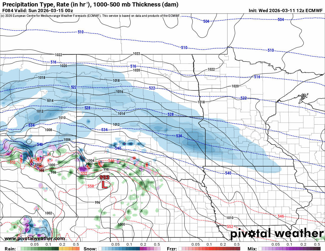 European ECMWF model