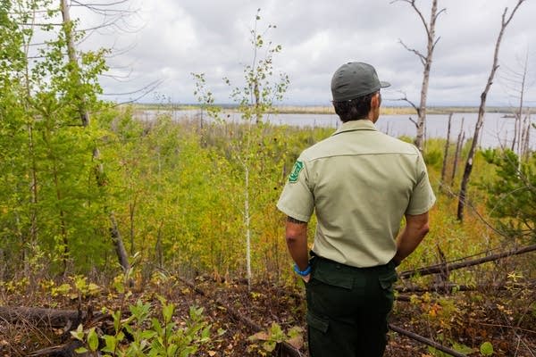 Ten years later: Lessons from the Pagami Creek Fire