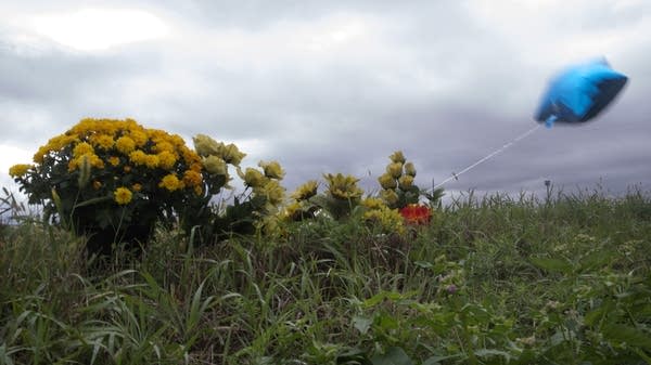 A memorial  left near the farm in Paynesville.