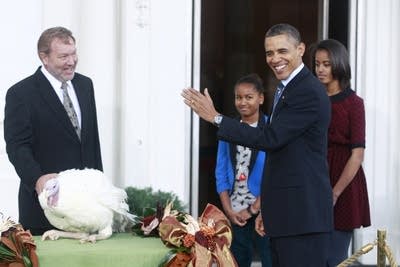 Turkey pardon