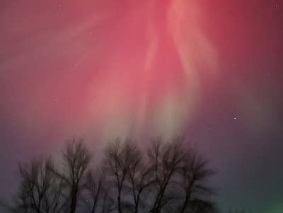 Reds and greens paint the night sky with trees in the foreground.