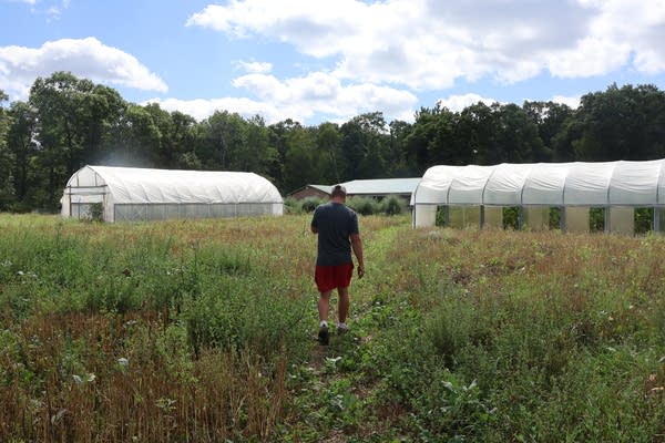 A man walking through a field