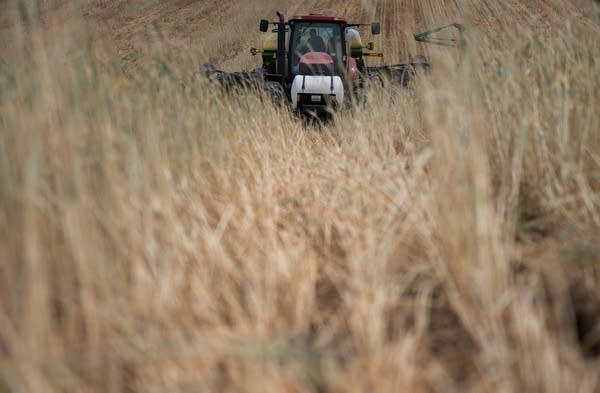 A farmer plants corn on a tractor.