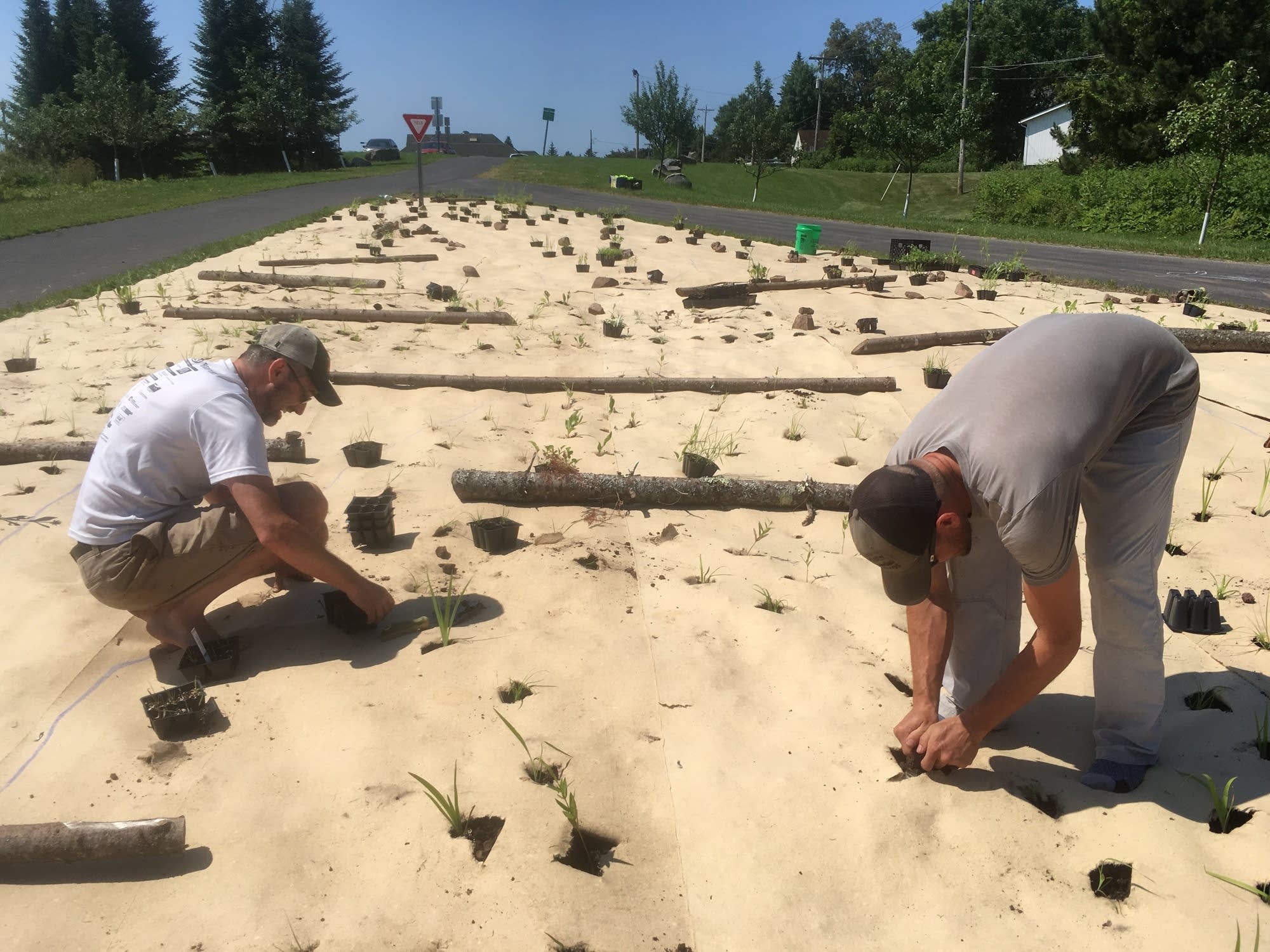 Greg Sumner of Duluth and Dan Schutte, owner of Shoreview Natives