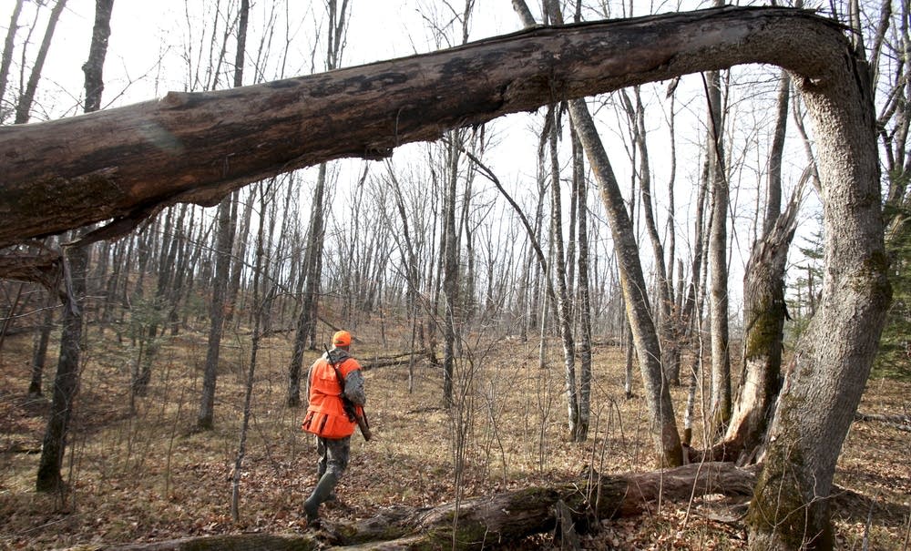 Deer hunting
