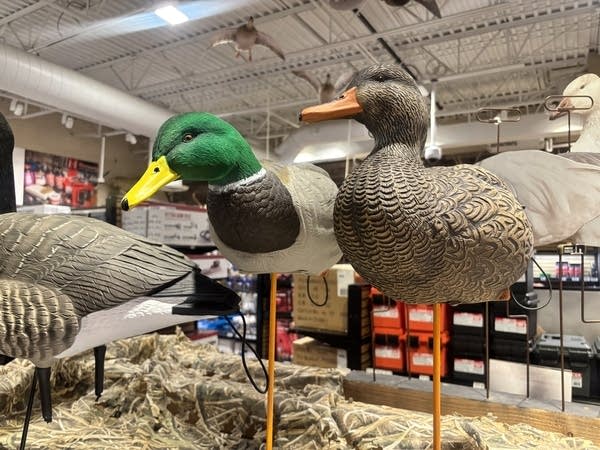 water fowl decoy