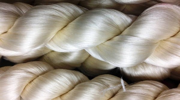 These silk threads are mass produced by silkworms but based on the protein a spider uses to spin its web.