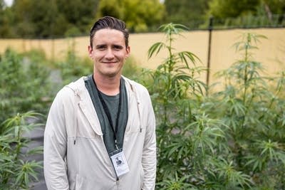 A man poses next to marijuana plants