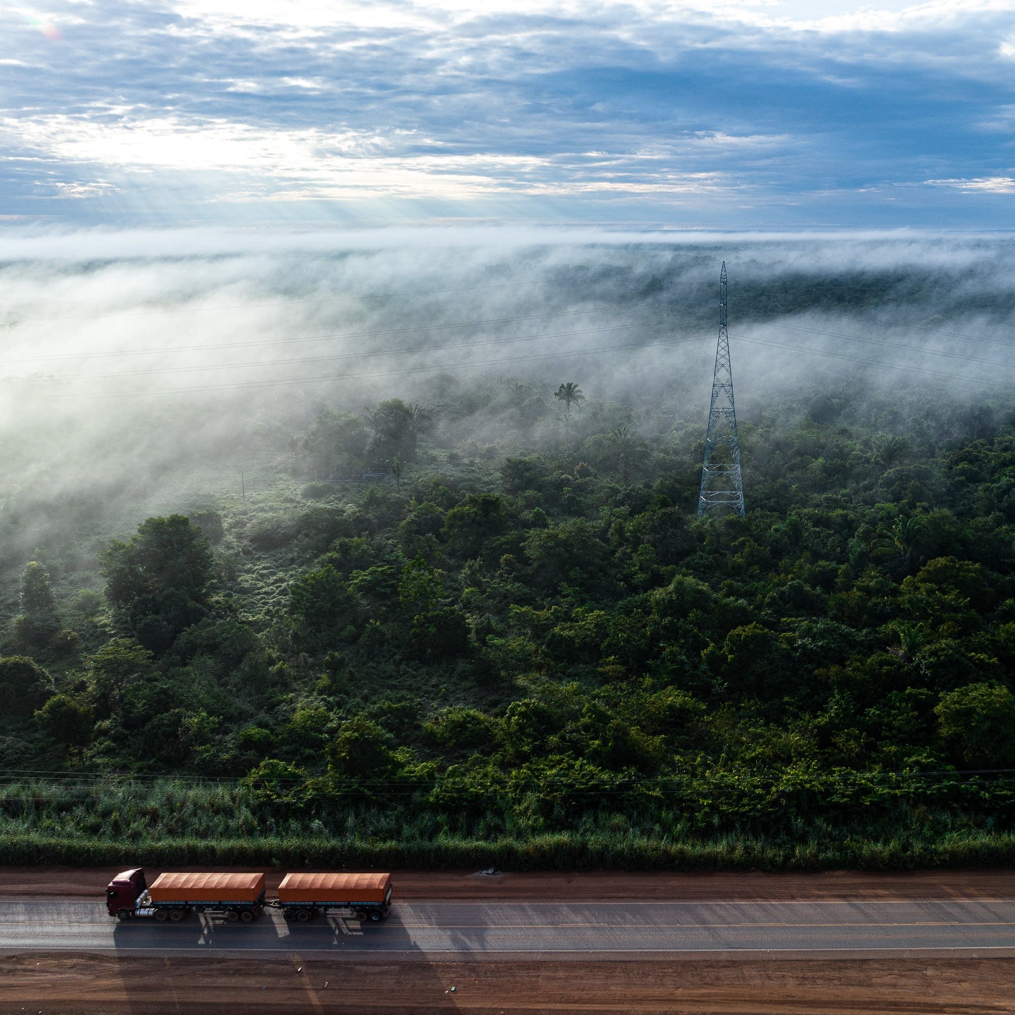 Brazilian soy farmers want Amazon restrictions to be lifted Brazilian soy farmers want Amazon restrictions to be lifted