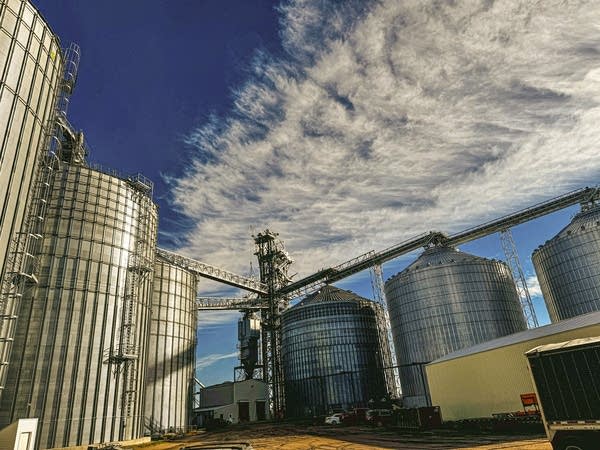 Large, metal grain storage bins are lined up against a blue sky.