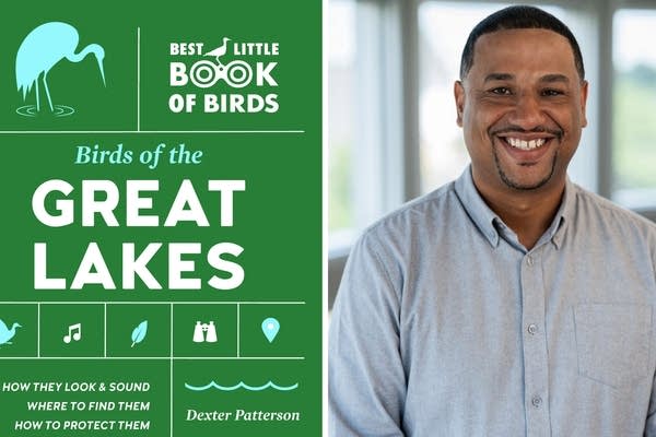 From shorebirds to songbirds: Understanding Great Lakes birds