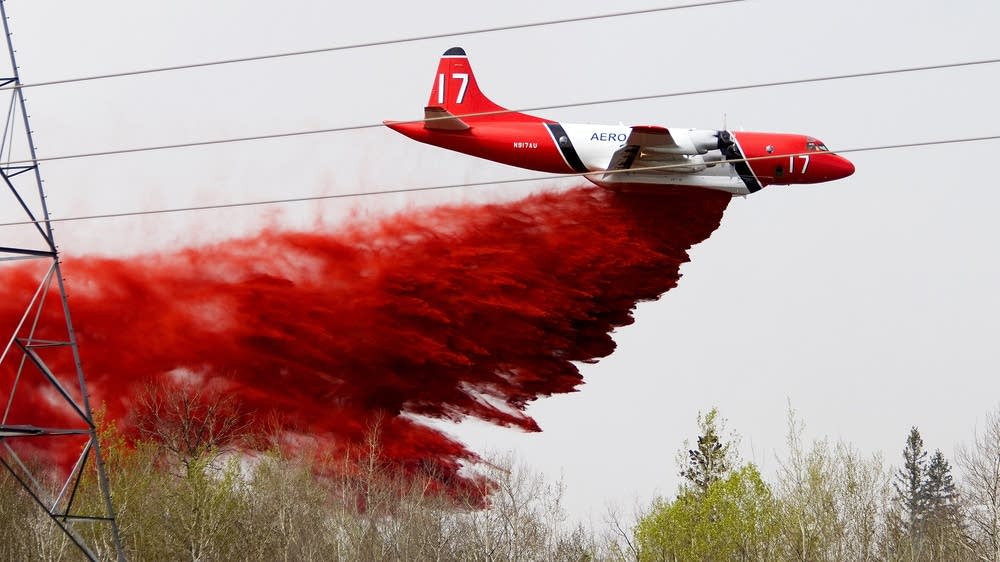 Forest Service ordered to look into environmental effects of fire