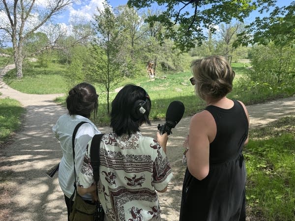 Interview at Ortenstone Gardens and Sculpture Park