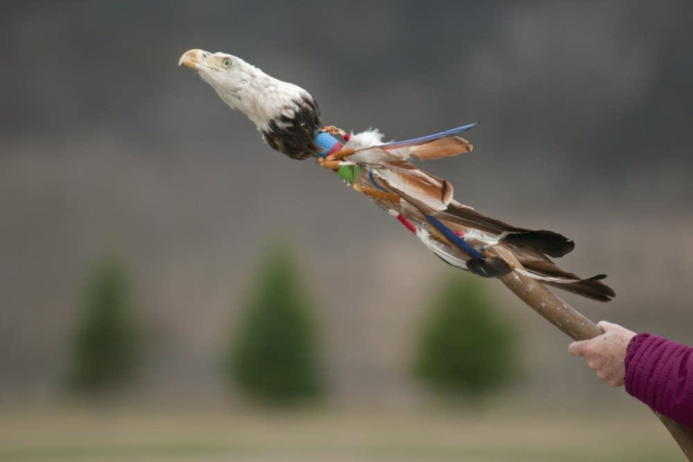 A staff for protecting water