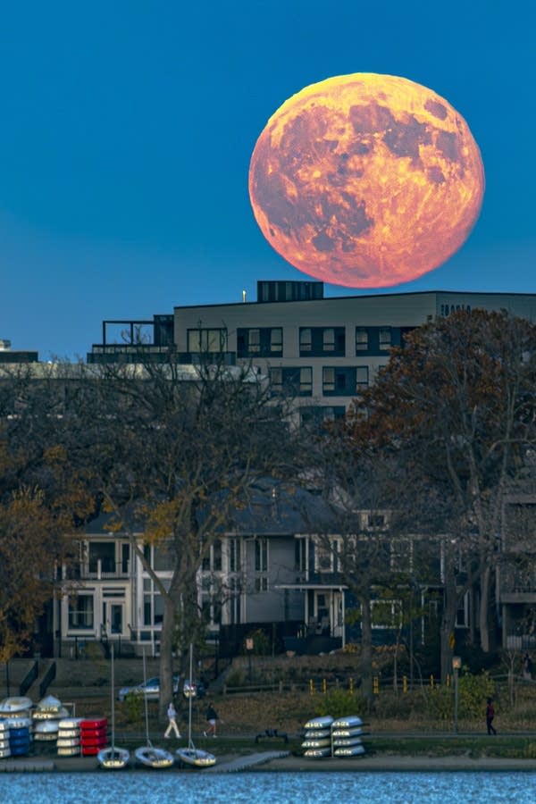 A bright orange full moon rises over a city against a dark blue sky.