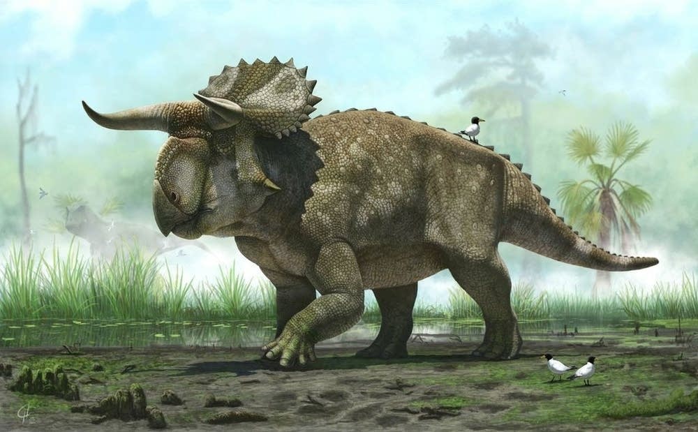 Nasutoceratops titusi
