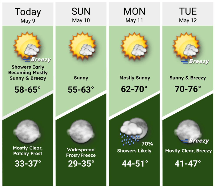 4-day forecast