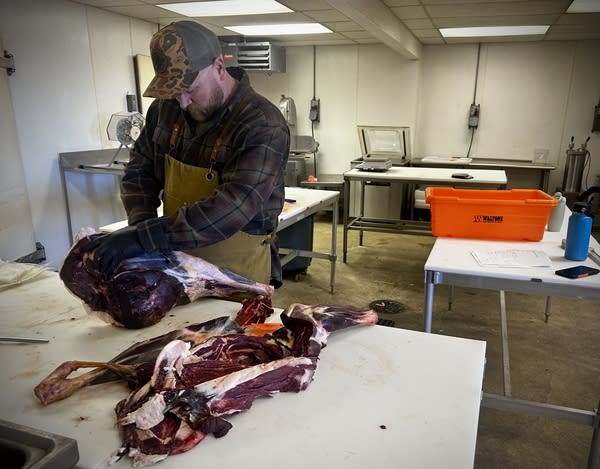 Chase Keenan cuts up some big game meat. He does this all day long, seven days a week.