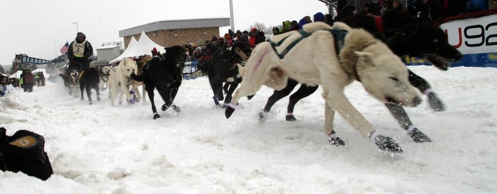 Musher Peter McCelland