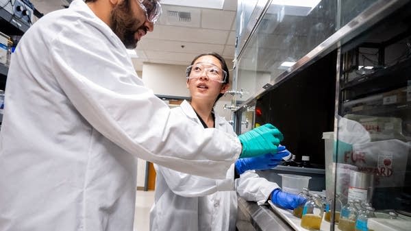 Making university research make money