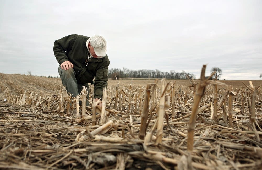 No-till farmland