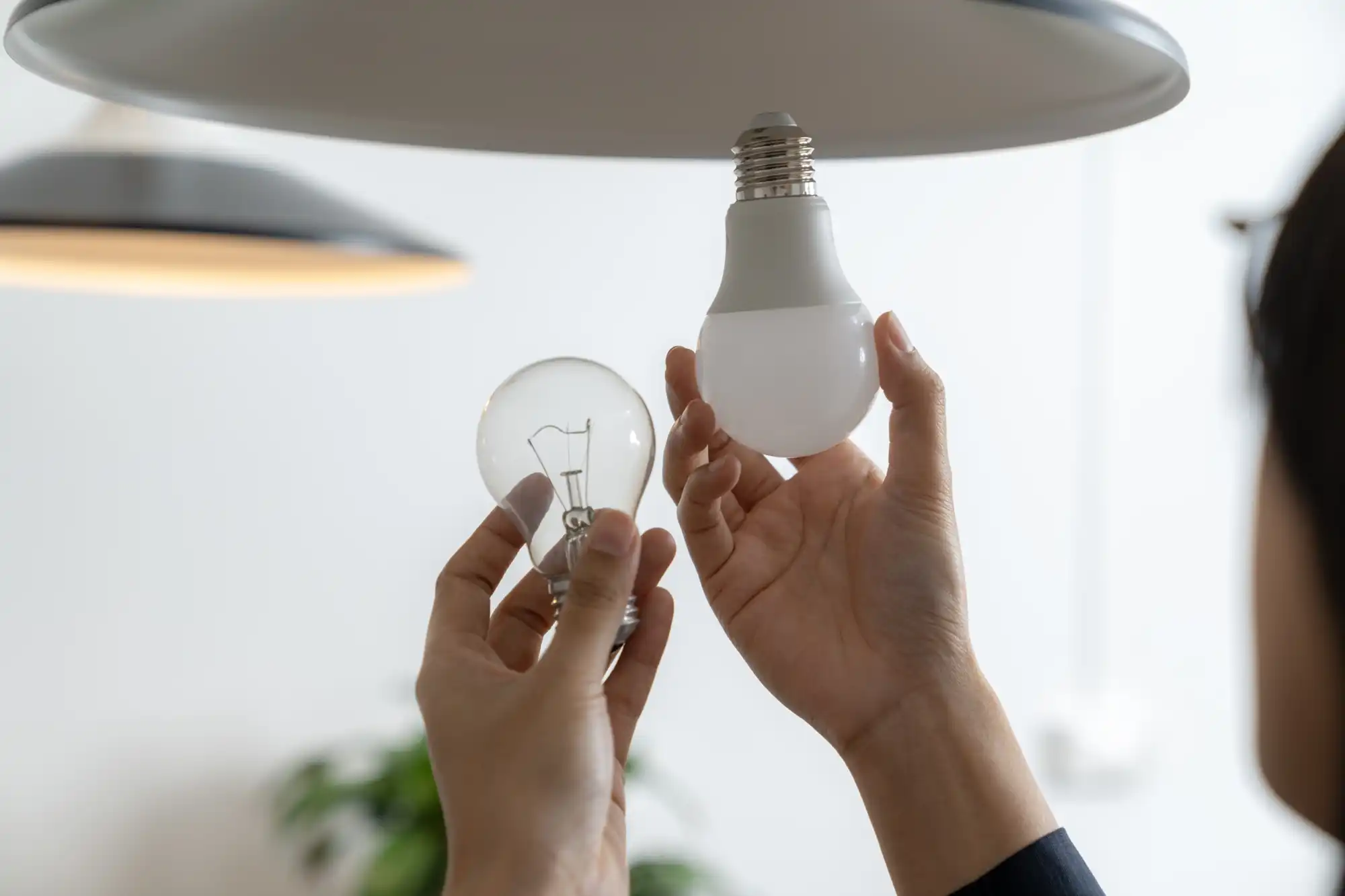How much money do you save by turning off the lights?