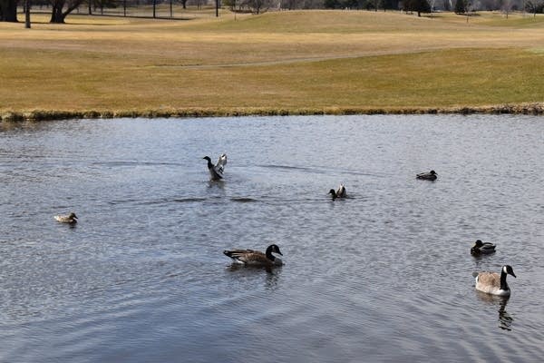 A wet Saturday, with rumbles of thunder at times
