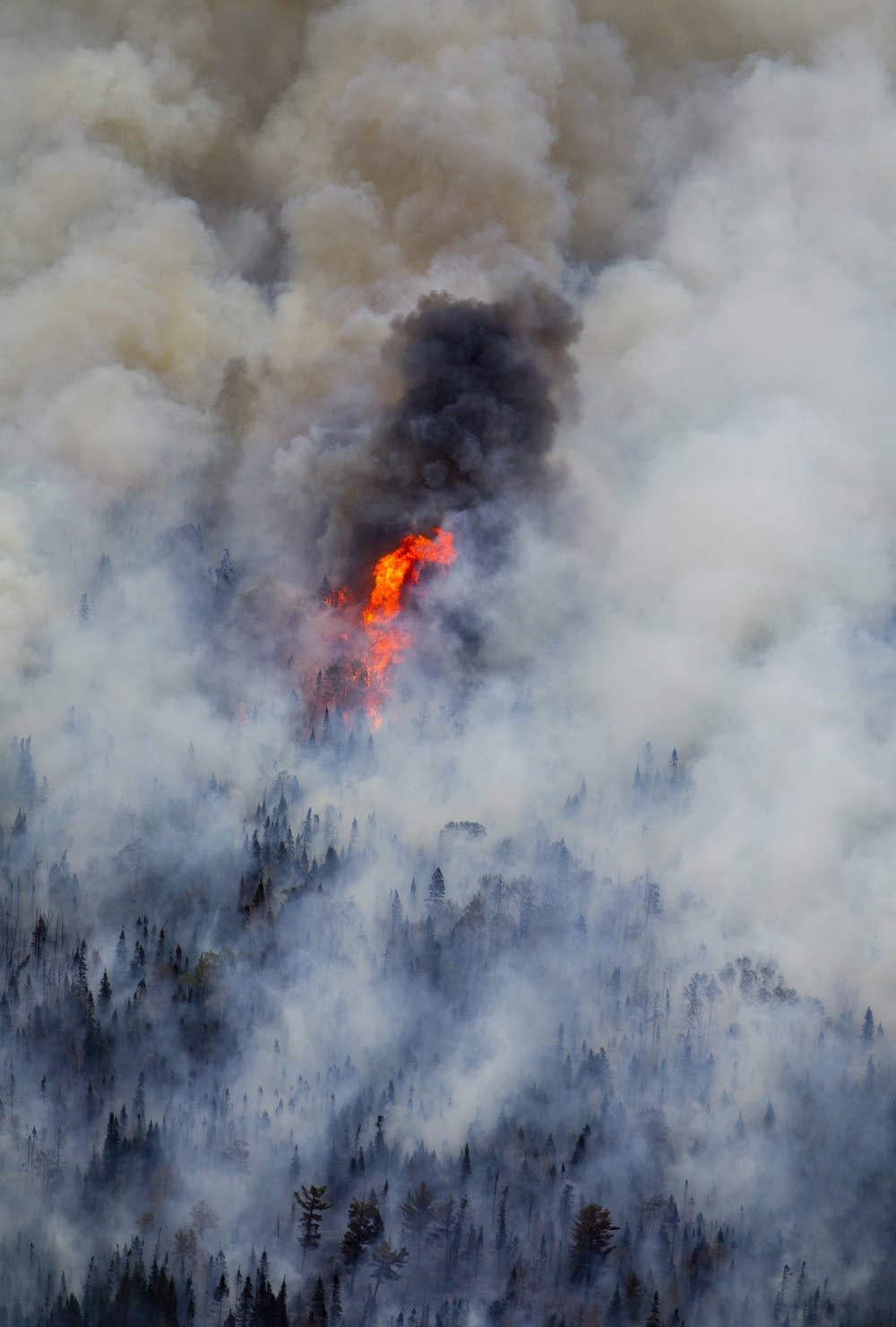 100,000 acres burned