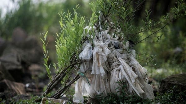 The label "plant-based" is on all sorts of goods. But how much of it is just plastic, rebranded?