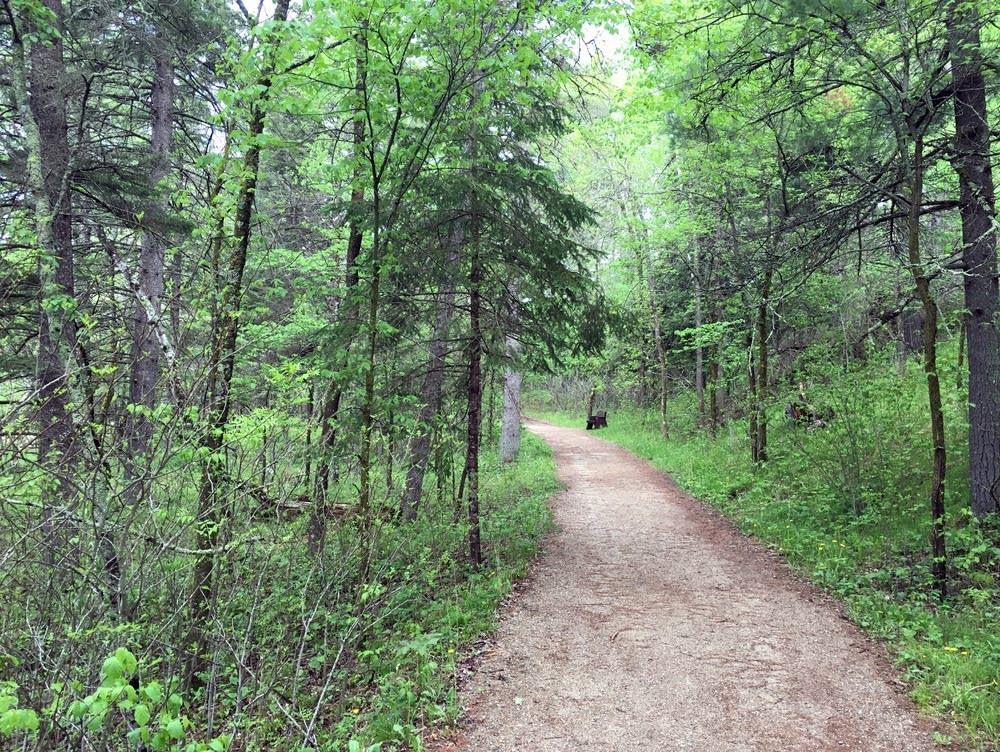 Walk off that turkey dinner: MN state parks waive entry ...