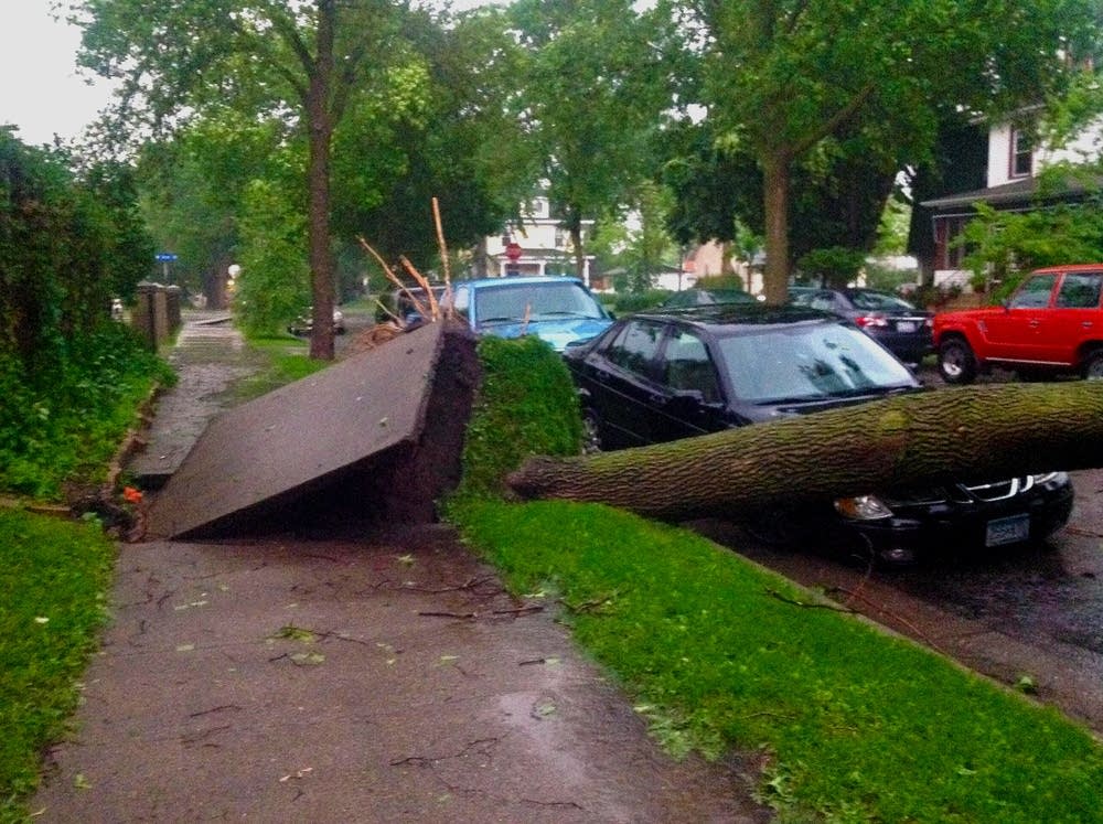 Storm