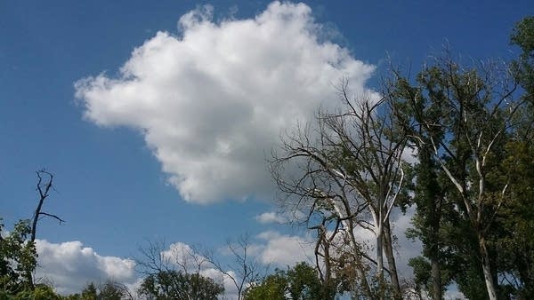 Widespread rain coming our way