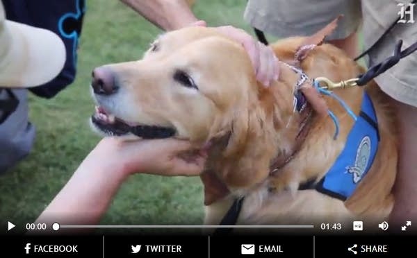 The healing power of dogs is unleashed in Orlando