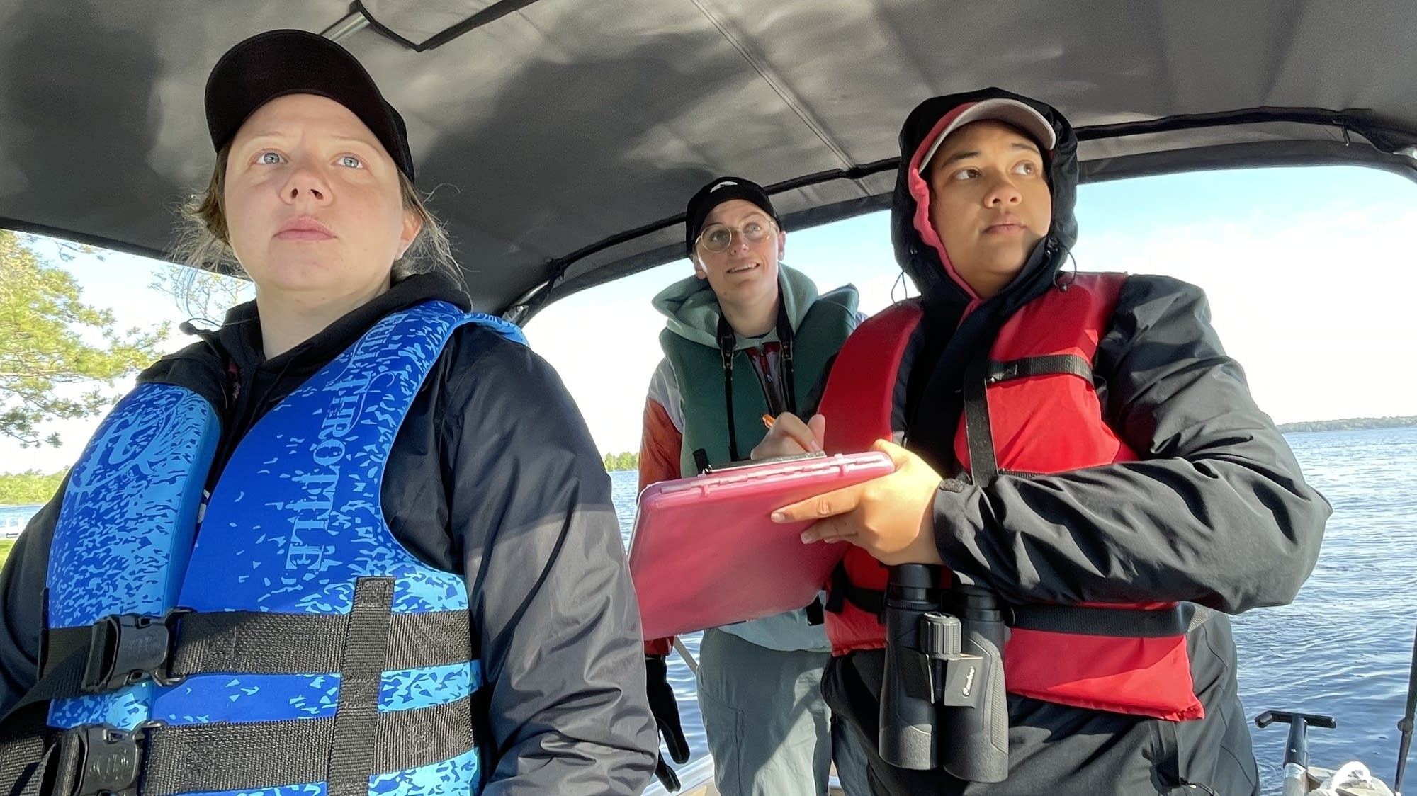 Loon Rising Mn Wisconsin's loons are declining, project examines if the same is ...