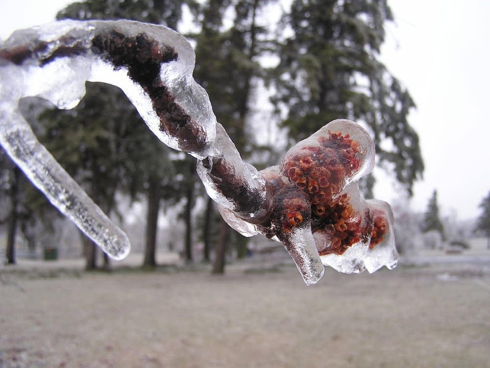Ice storm