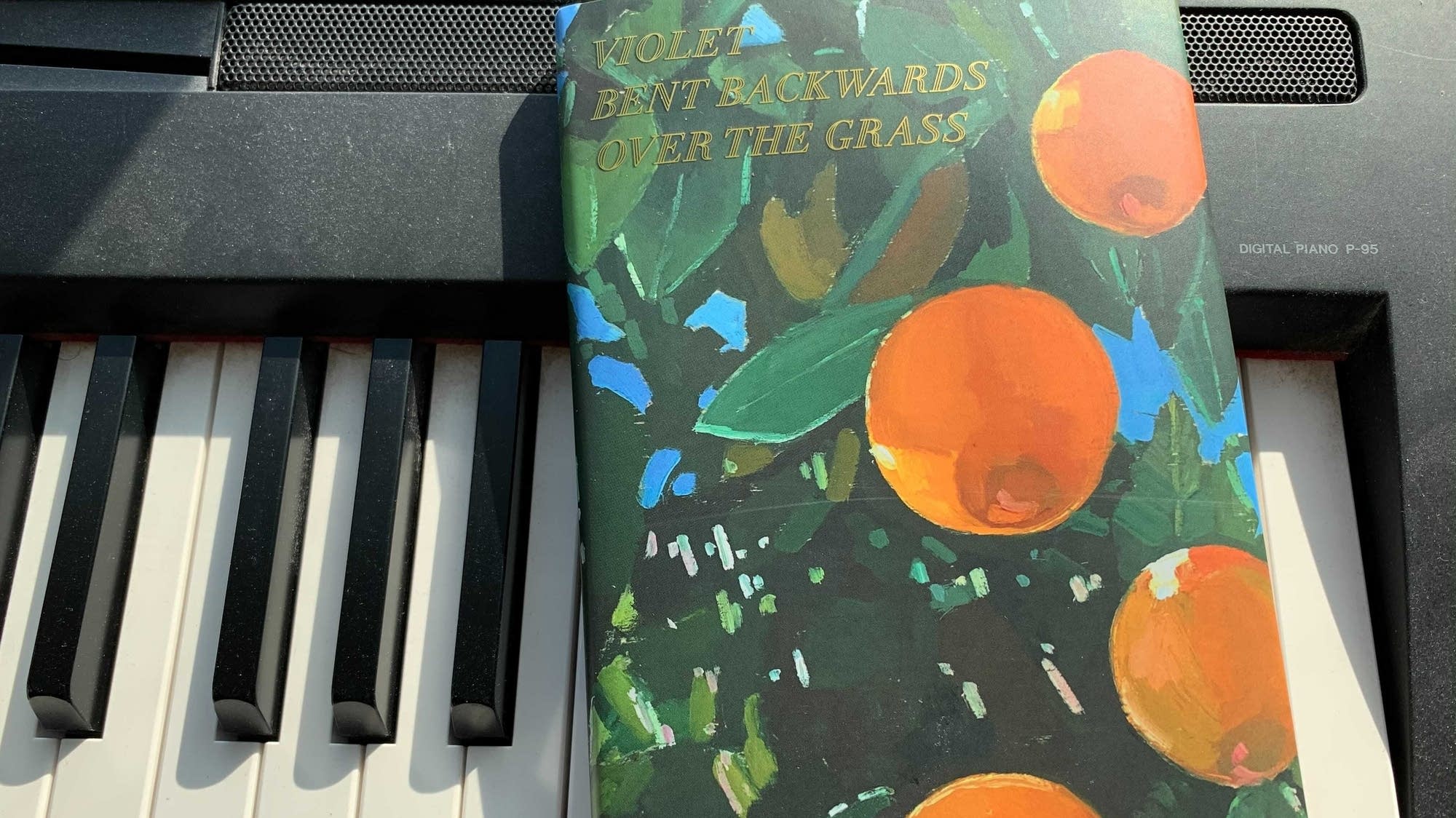 Rock and Roll Book Club: Lana Del Rey's poetry book 'Violet Bent