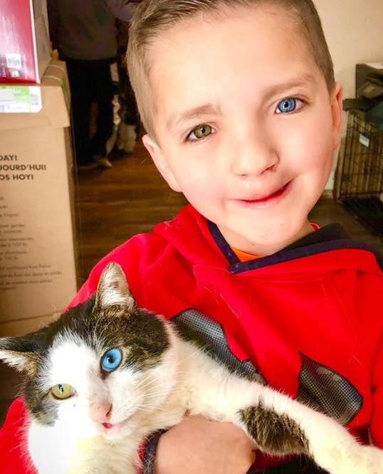 A cat from Mankato befriends a bullied boy in Oklahoma
