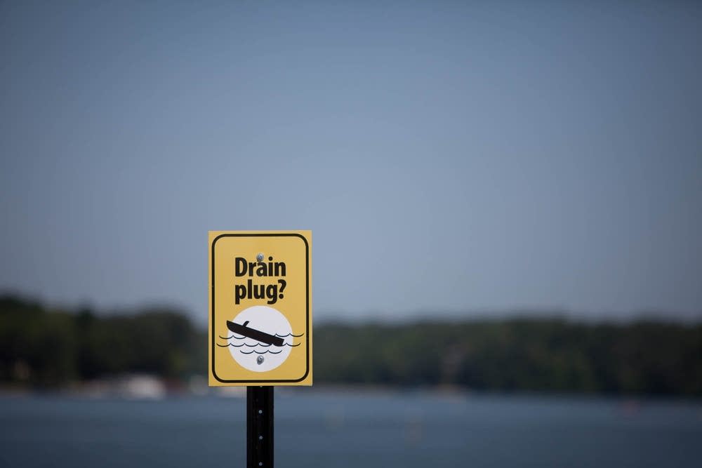 Aquatic invasive species