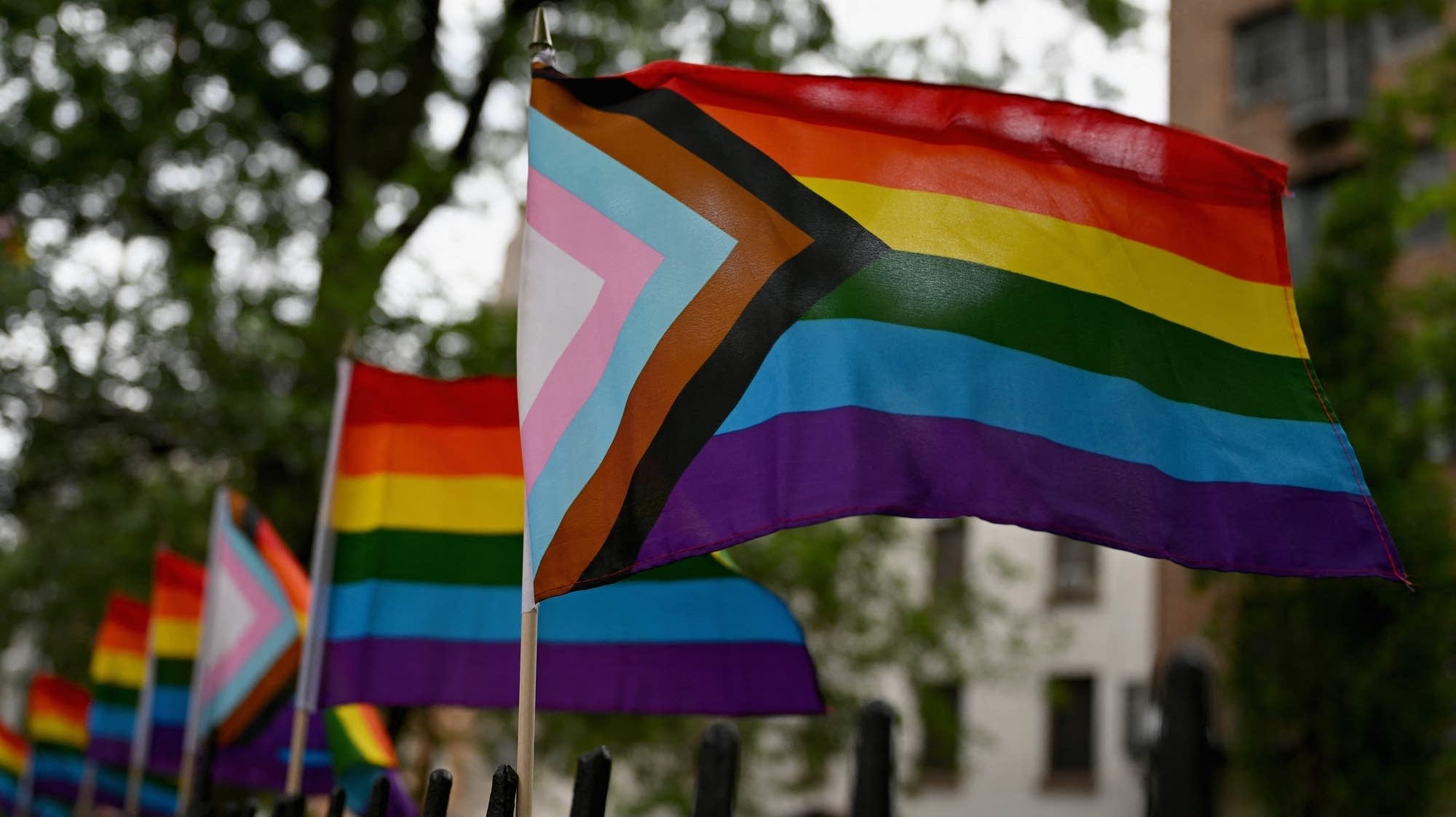 House passes same-sex marriage bill in retort to high court | MPR News