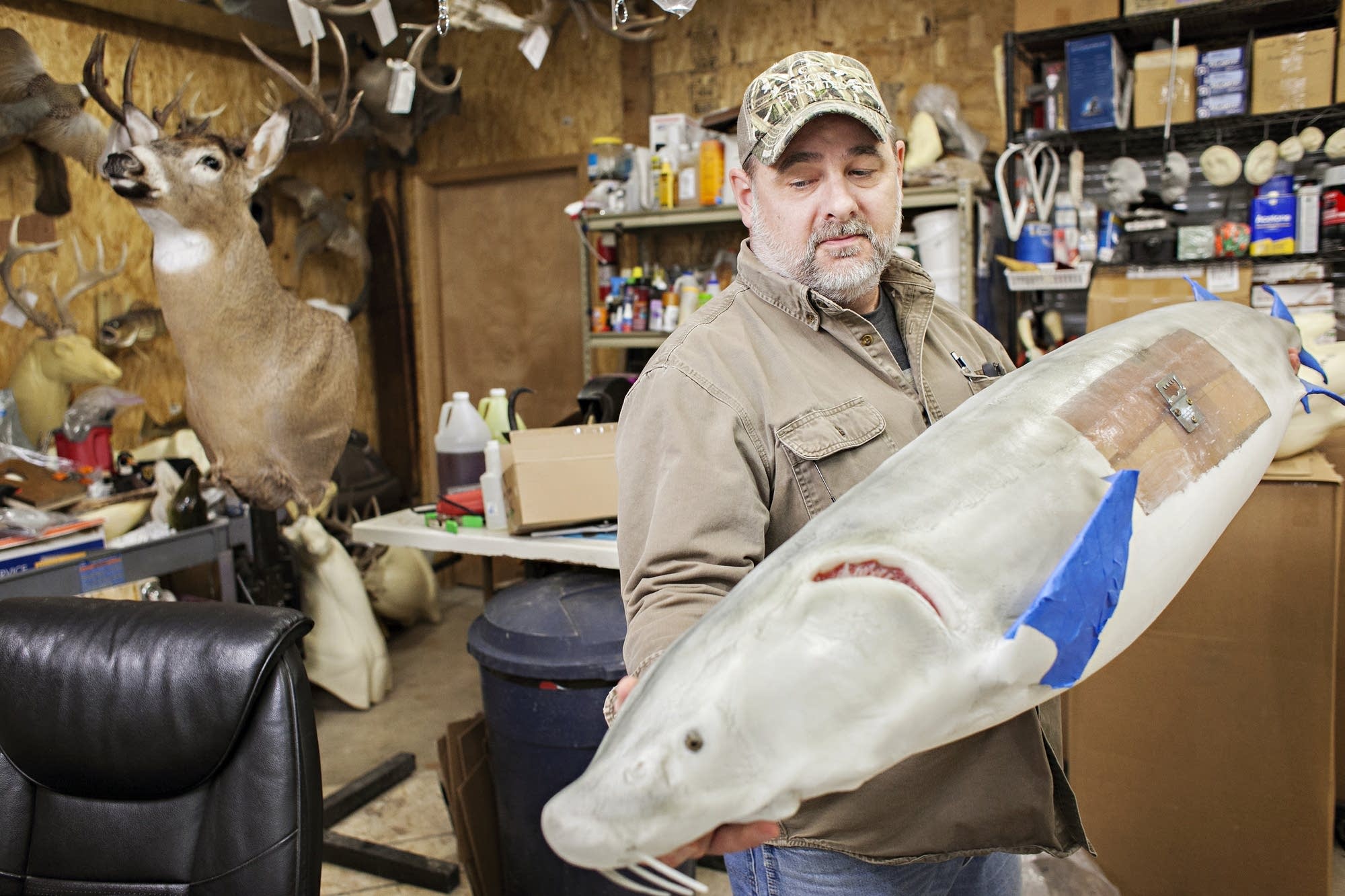Taxidermist Curt Markgraf used a foam form to craft a sturgeon replica.